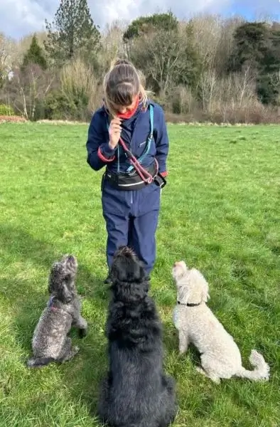 Hannah talking to three obedient sitting dogs